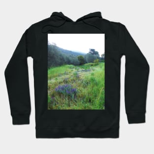 Hills of Morning Hoodie